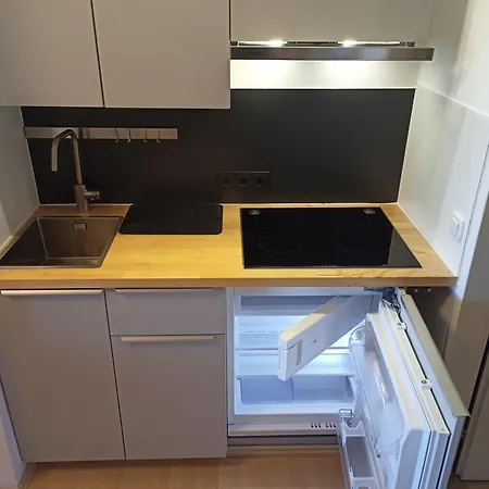 Einraum Studio Mit Berg- Und Seeblick Sankt Gilgen Extérieur photo